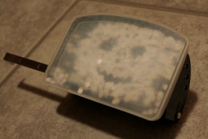 IMG_4428_WP (1024x683) (2)