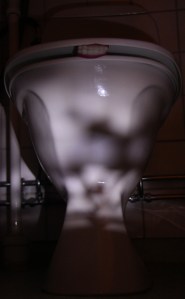 IMG_4528_WP (633x1024)