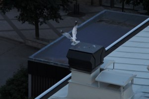 IMG_6653.JPG_wordpress