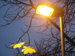 027_wordpress