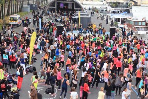 IMG_7741_wordpress